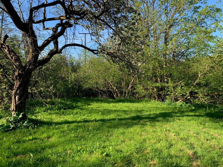 Images for Colebrooke, Crediton