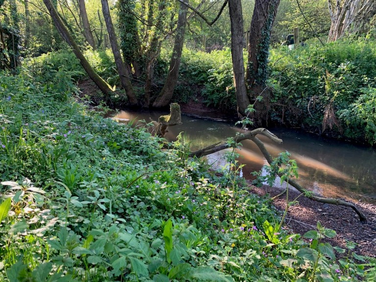 Images for Colebrooke, Crediton