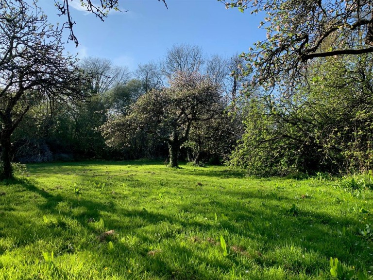 Images for Colebrooke, Crediton