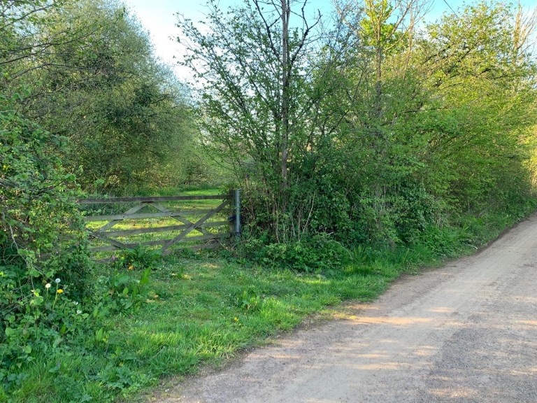 Images for Colebrooke, Crediton