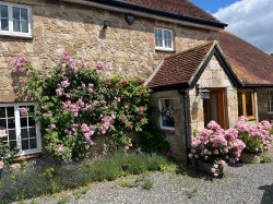 Images for Gurnard, Isle of Wight