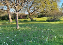 Images for Gurnard, Isle of Wight