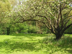 Images for Bouldnor, Yarmouth