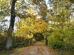 Images for Bouldnor, Yarmouth