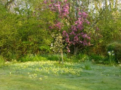Images for Bouldnor, Yarmouth