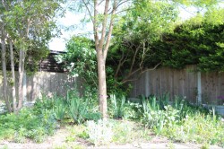 Images for Greys Close, Cavendish, Sudbury