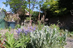 Images for Greys Close, Cavendish, Sudbury