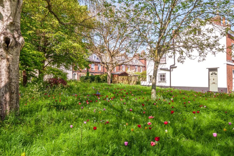 Images for Silver Terrace, Exeter