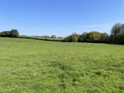 Images for Sampford Arundel, Wellington