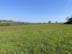 Images for Sampford Arundel, Wellington