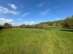 Images for Dalwood, Axminster