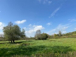 Images for Dalwood, Axminster
