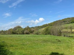 Images for Dalwood, Axminster