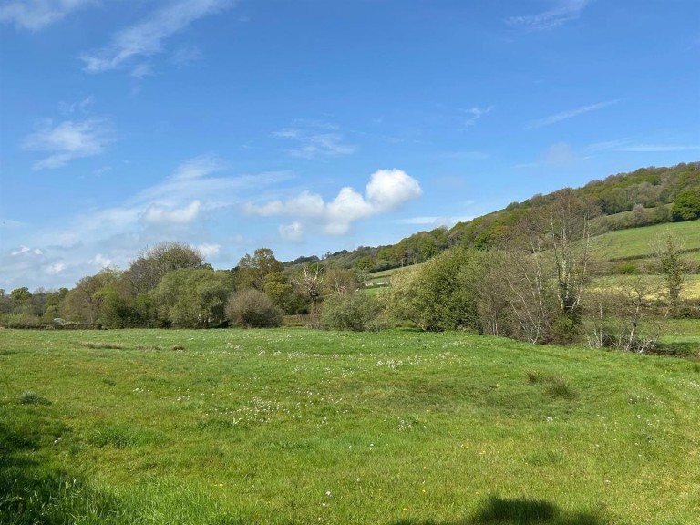 Images for Dalwood, Axminster
