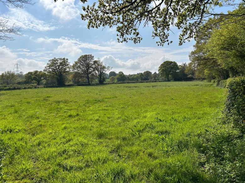 Click the photo for more details of Dalwood, Axminster