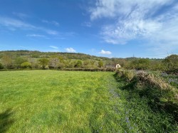 Images for Dalwood, Axminster
