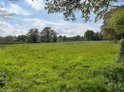 Images for Dalwood, Axminster