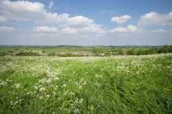 Images for Nell Hill, Hannington