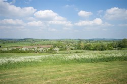 Images for Nell Hill, Hannington