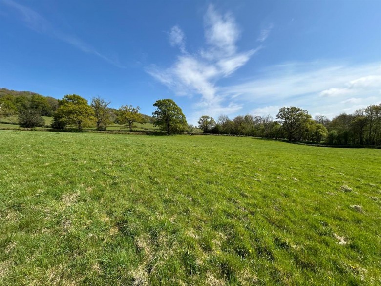 Click the photo for more details of Dalwood, Axminster