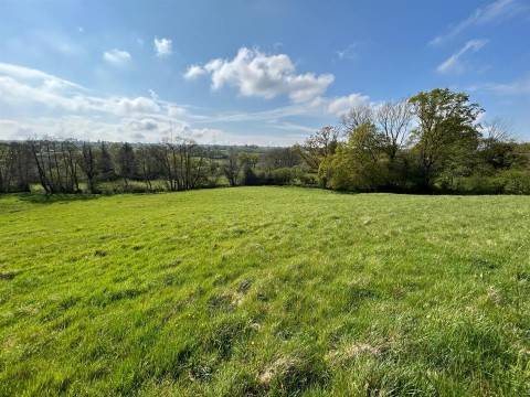 Click the photo for more details of Dalwood, Axminster