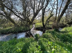 Images for Dalwood, Axminster