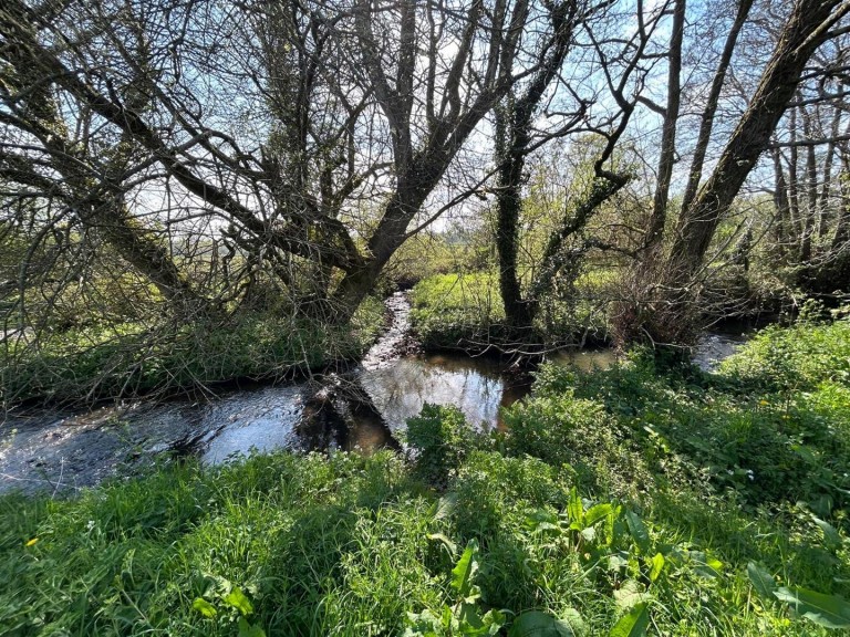 Images for Dalwood, Axminster