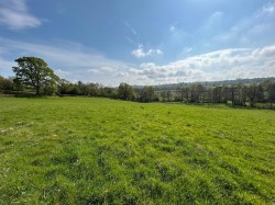 Images for Dalwood, Axminster