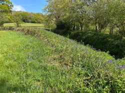 Images for Dalwood, Axminster