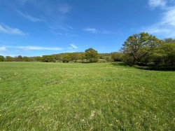 Images for Dalwood, Axminster