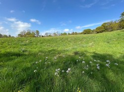 Images for Dalwood, Axminster