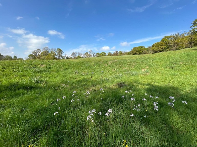 Images for Dalwood, Axminster