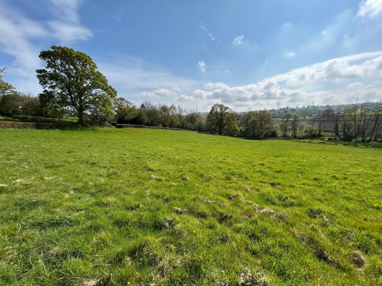 Images for Dalwood, Axminster