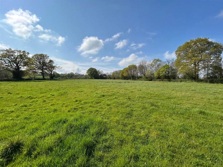 Images for Dalwood, Axminster