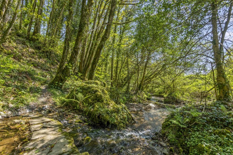 Images for Diptford, Totnes