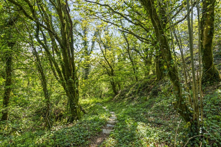 Images for Diptford, Totnes