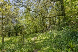 Images for Diptford, Totnes
