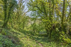 Images for Diptford, Totnes