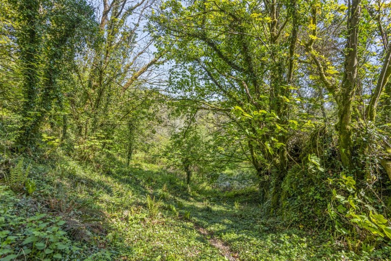 Images for Diptford, Totnes
