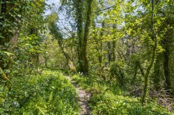 Images for Diptford, Totnes
