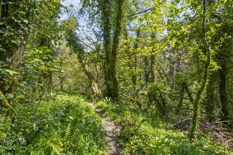 Images for Diptford, Totnes