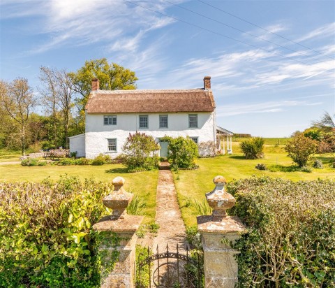 Click the photo for more details of Holditch, Chard