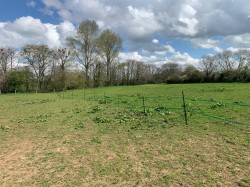 Images for Buckland Newton, Dorchester, Dorset