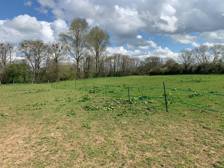 Images for Buckland Newton, Dorchester, Dorset