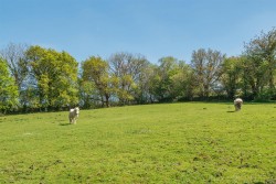 Images for Latchley, Gunnislake
