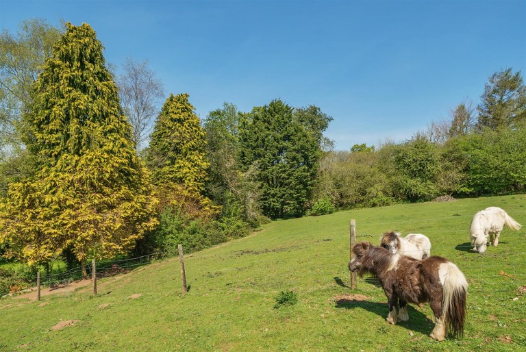 Images for Latchley, Gunnislake