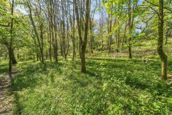 Images for Latchley, Gunnislake
