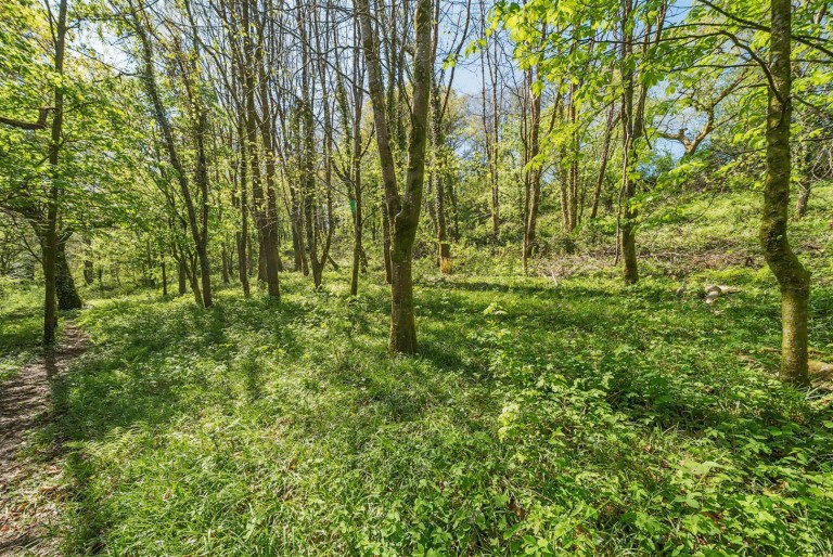 Images for Latchley, Gunnislake