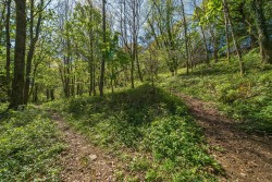 Images for Latchley, Gunnislake