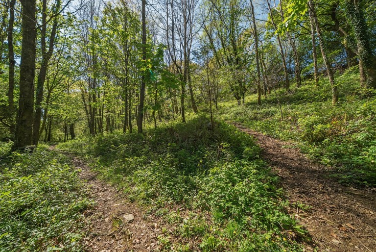 Images for Latchley, Gunnislake